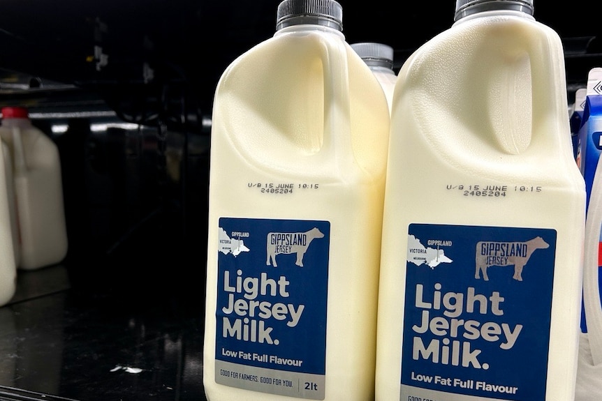 Gipps Jersey milk