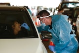 A medical worker swabs the mouth of a car driver through the car window.