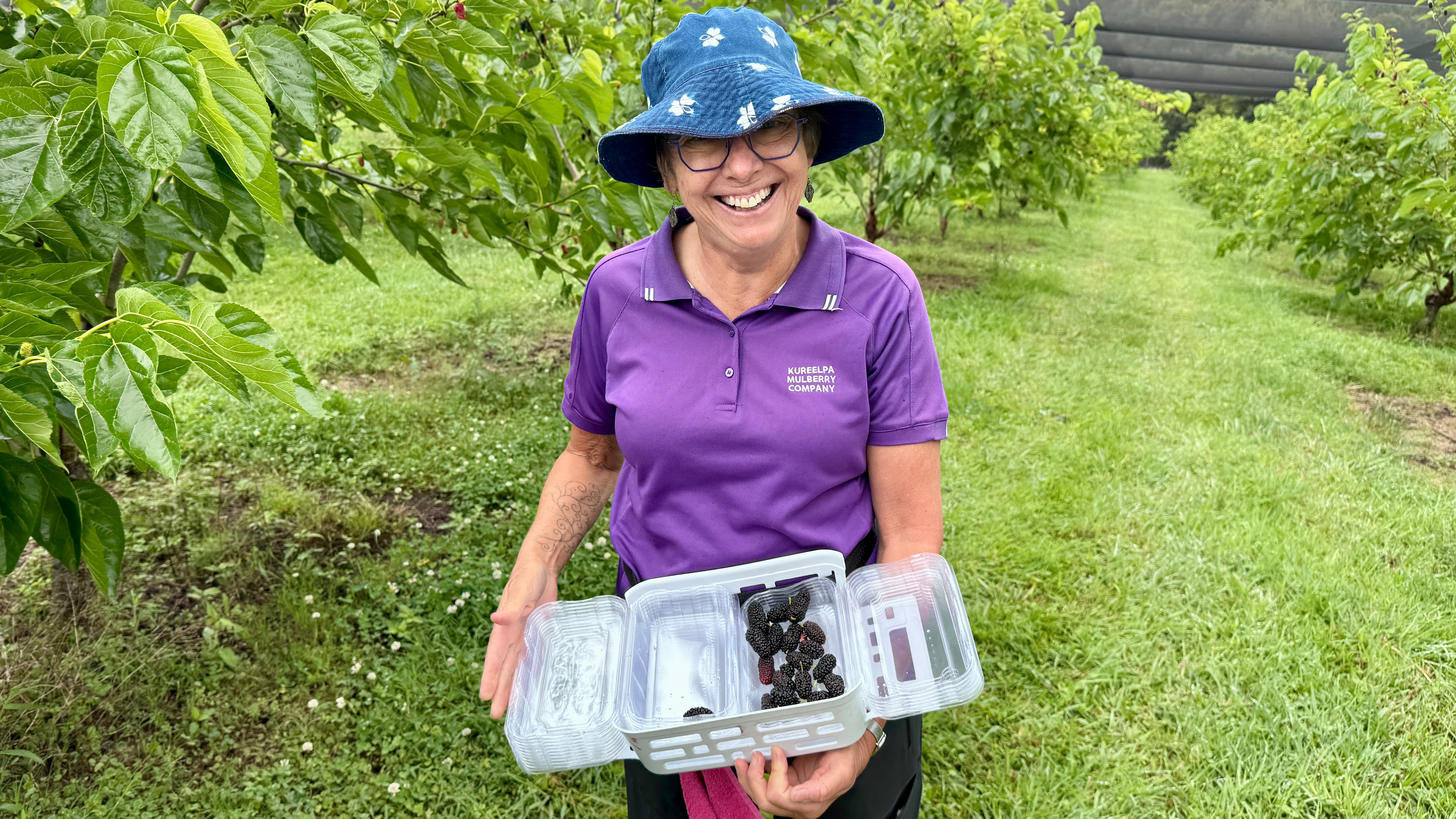 First-time farmer solves mulberry packing problem with dental drill ...