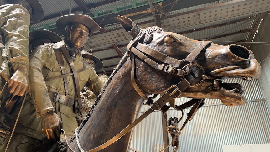 This war horse rode four wounded Anzacs to safety in World War I