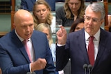 A composite image of two male politicians, each pointing fingers in parliament