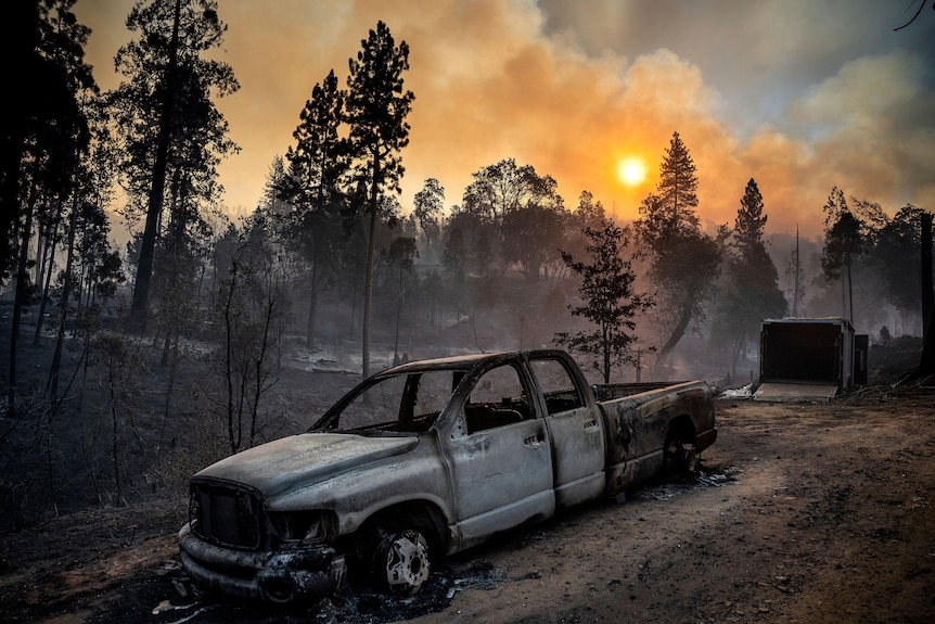 The sun rises over burnt forest. A burnt truck is in the foreground. 
