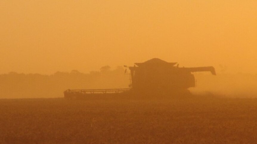 Harvesting wheat at sunset at 'The Ranch' inbetween Westmar and Meandarra in Southern Queensland.