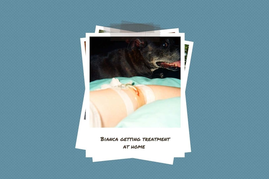 A young woman with a PICC line in her arm lays in bed with her dog watching on