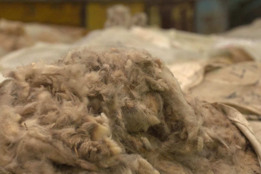 Raw wool coming out of a plastic bag.