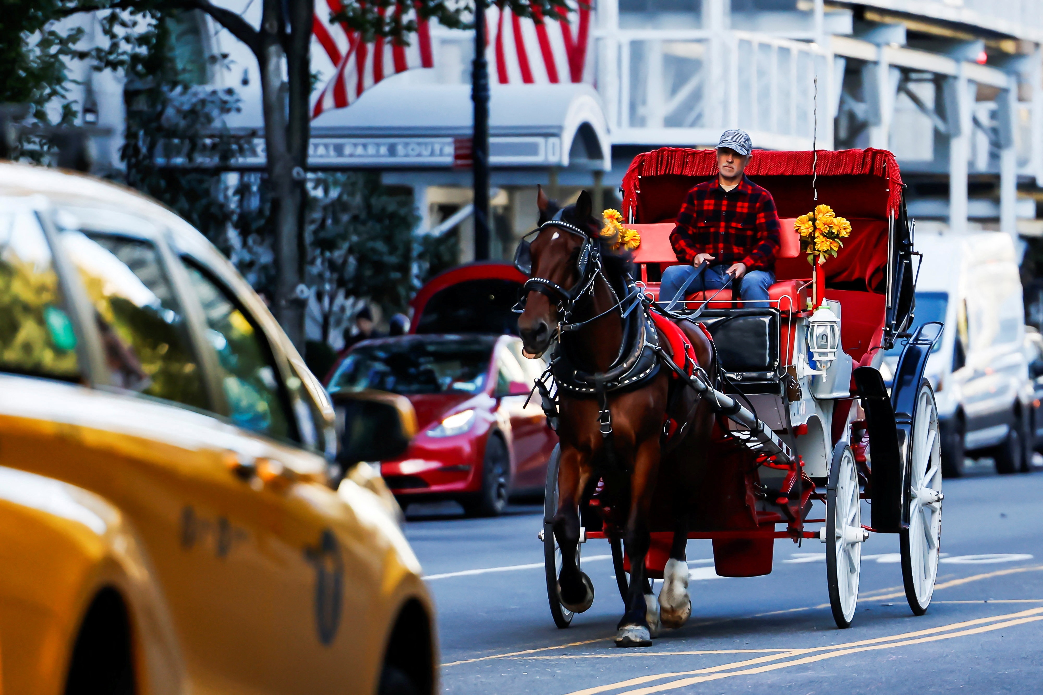 New York City bans horse-drawn carriages from 2028
