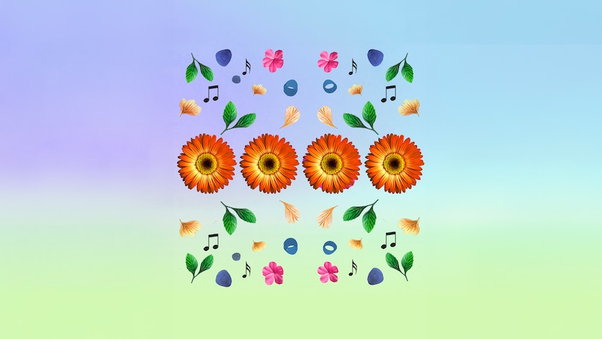 Sunflowers and music notation against a multi-coloured background.