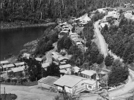 A black and white photograph of housing on a steep forested hill above a lake.