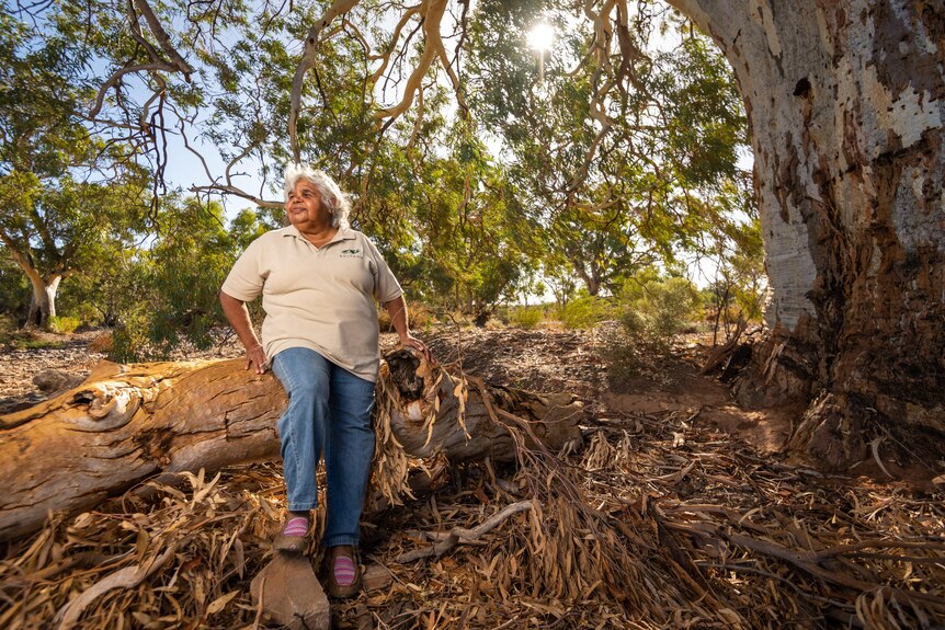 Adnyamathanha woman Beverley Patterson sits on a log.
