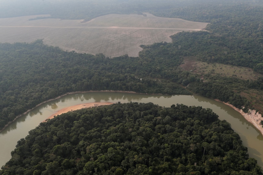 An aerial view of a patch of cleared rainforest.
