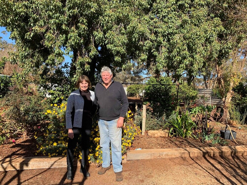 A man and a woman are standing in front of a big tree and a green bush with yellow flowers. There are lots of plants behind.