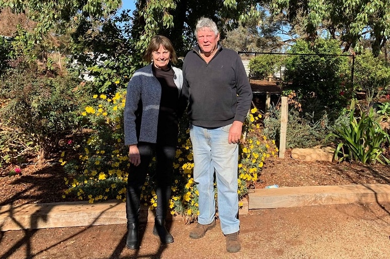 A man and a woman are standing in front of a big tree and a green bush with yellow flowers. There are lots of plants behind.