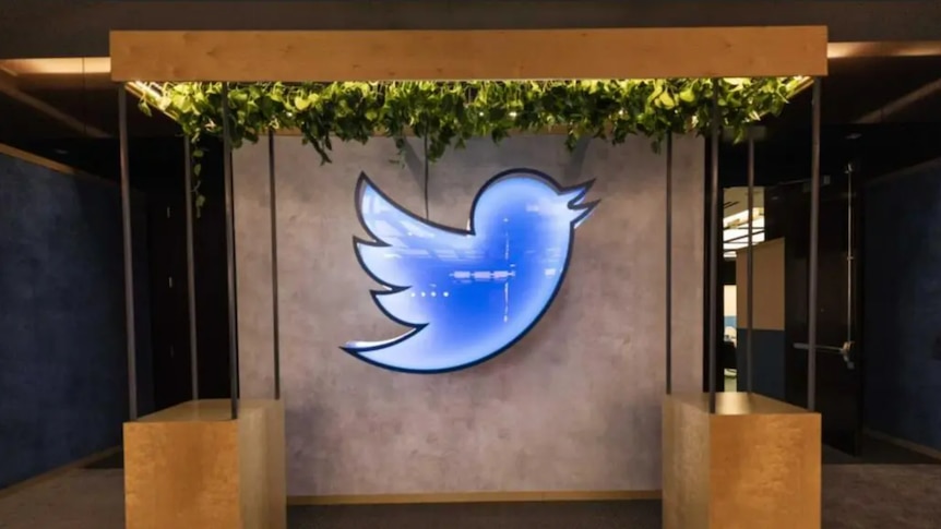 A large blue neon sign in the shape of Twitter's bird logo hangs on a wall in an office