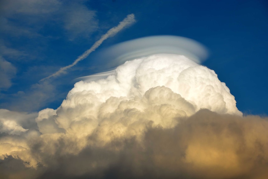 A white fluffy cloud formation against a vivid blue sky.