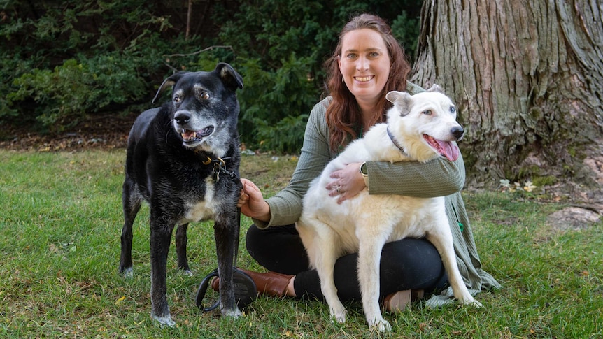Researcher Ellen Furlong sits on the grass with her dogs Cleo (left) and Charlie (right)