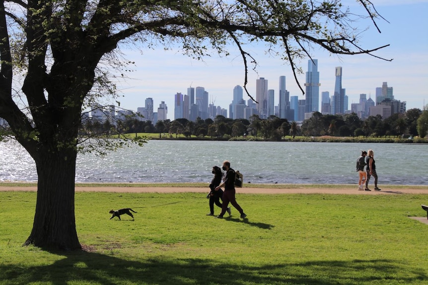 An image of people exercising at albert Park lake including people walking a cat.