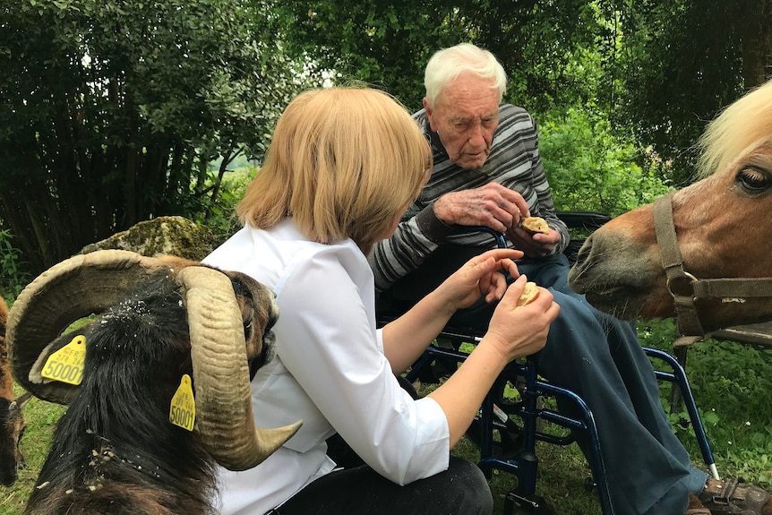 David Goodall feeds a horse and goat with relative Hana