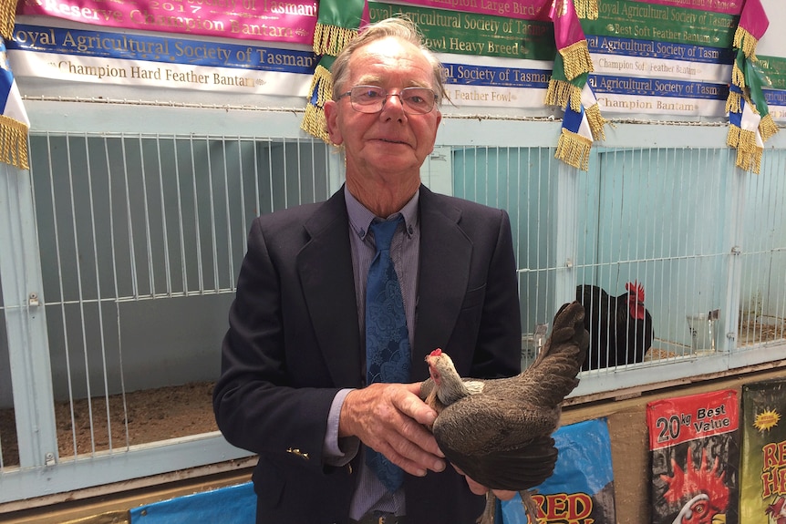 Royal Hobart Show chief poultry steward Peter Manning