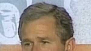 George W Bush ordered the report. (File photo)