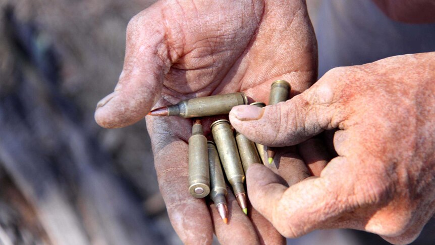 Don Sallway holds some of the ballistic tip bullets he uses in his Savage 22-250 rifle.