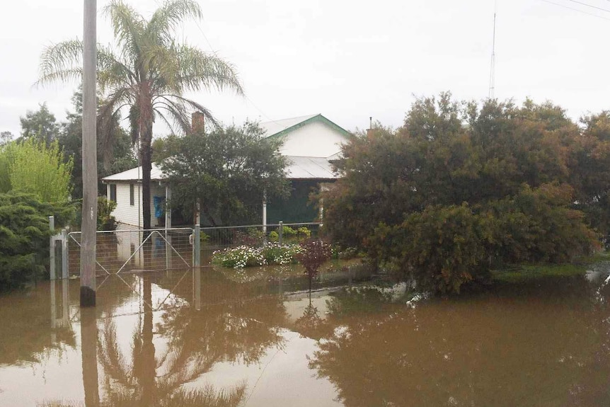 Flood waters on streets in Forbes.