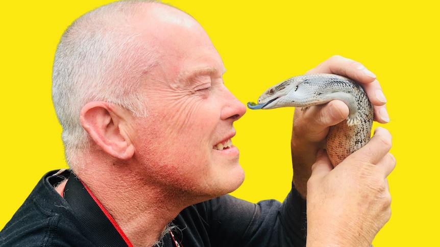 A man with  closely cropped grey hair holds a big lizard in two hands and rubs noses with it