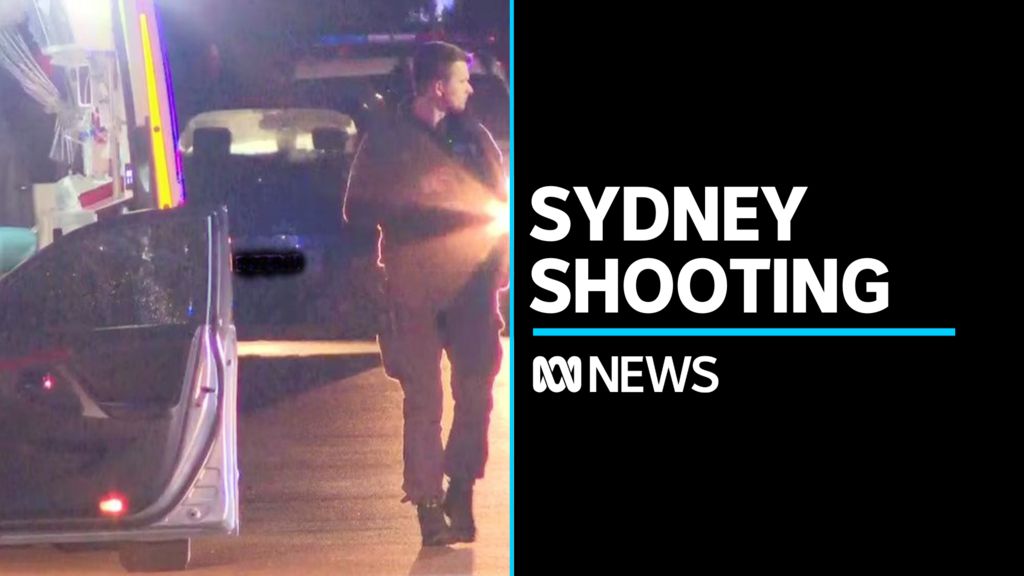 Police Continuing To Investigate Targeted Sydney Shooting ABC News   02971b68f83409a432227af33ee697ac