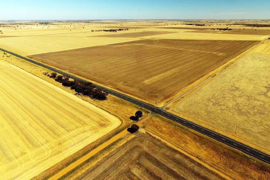 Aerial photo of farmland