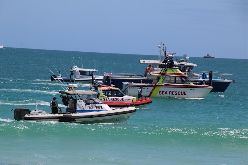 A line of search boats in the water at Port Beach.