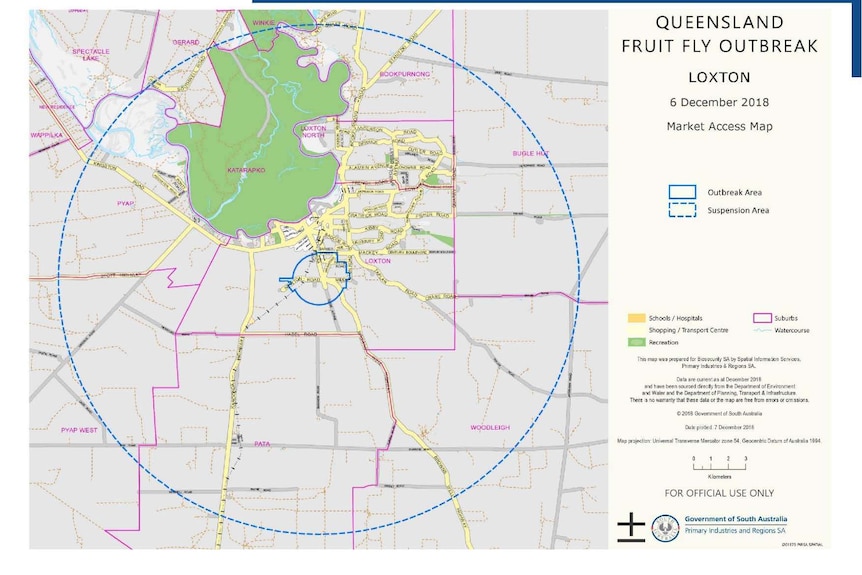 Queensland fruit fly outbreak zone in Loxton, South Australia.