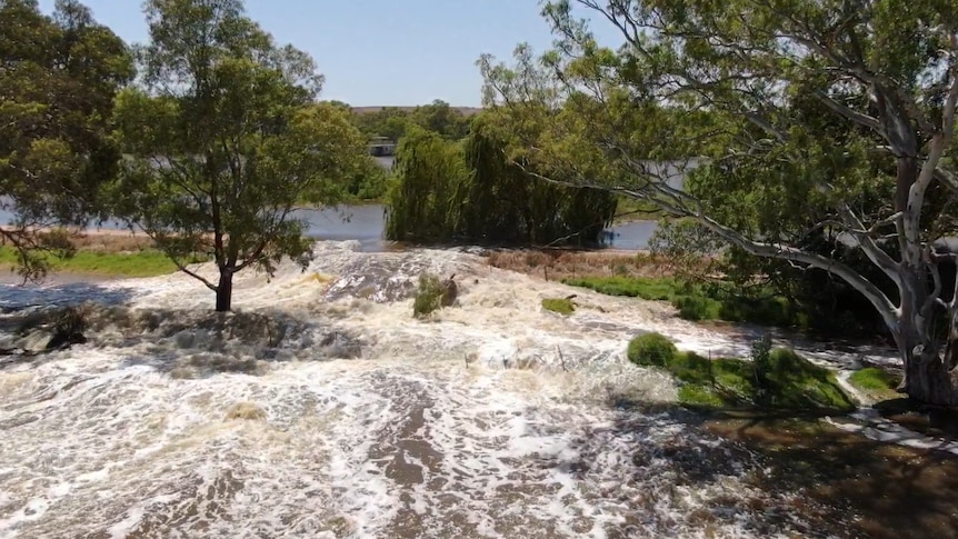 Water flowing through a gap in a levee with trees either side