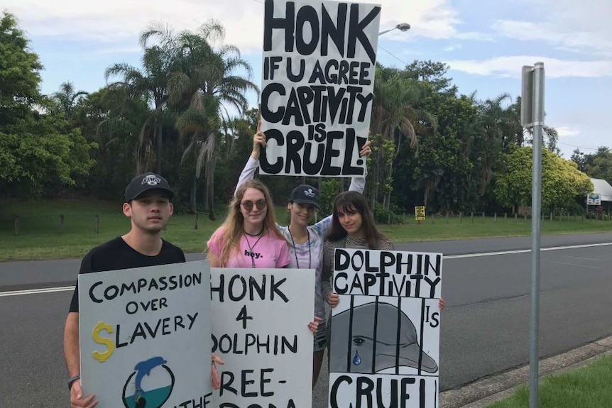 Protestors have previously targeted Dolphin Marine Magic