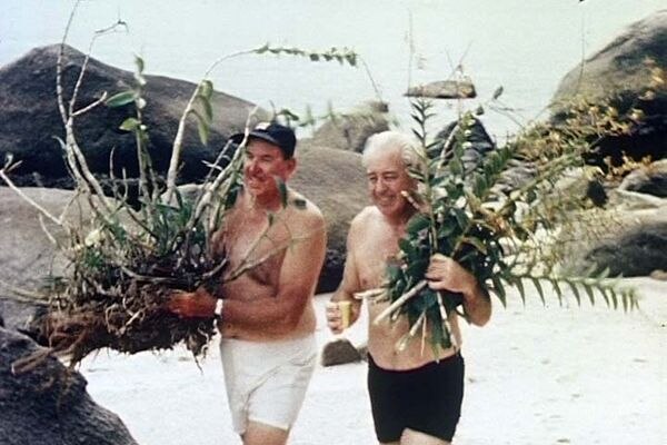 Harold Holt and Bob Dyer collect orchids along a north Queensland beach in 1967.