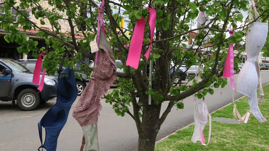 Bras have even been strung up in the trees on the main street.