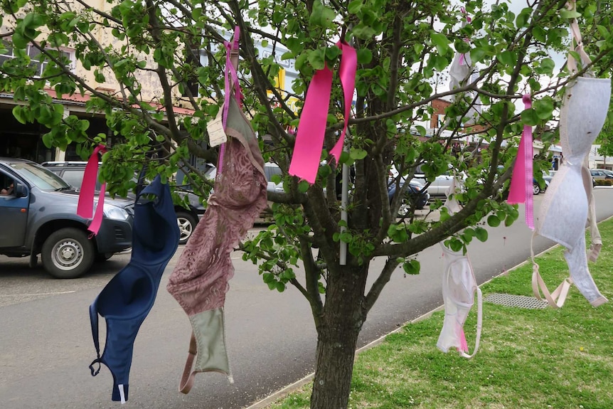Bras have even been strung up in the trees on the main street.