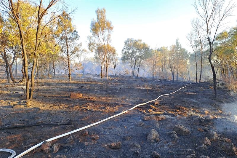 A burnt paddock with trees and a white hose along the ground. 