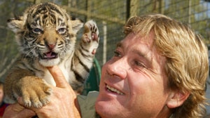 Peter Beattie says he will consult with the family before deciding on how to honour Steve Irwin. [File photo]