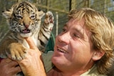 Police are preparing a report on the death of TV personality and conservationist Steve Irwin.
