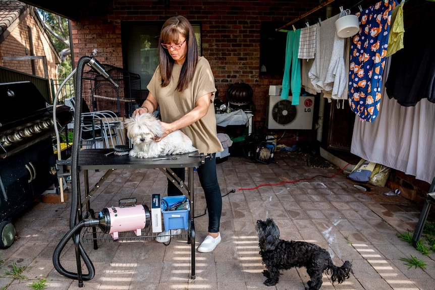 Sandy stands in her backyard and grooms a small dog.