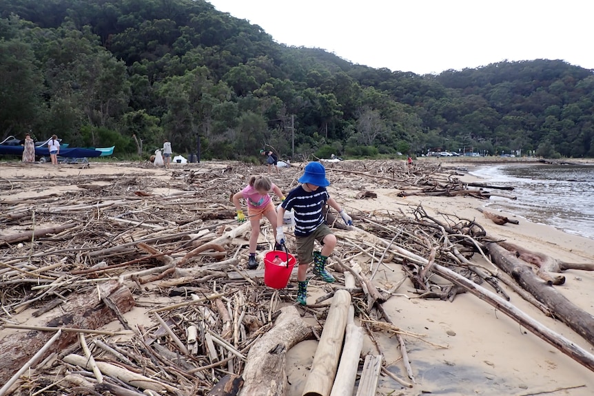 children combing the beach