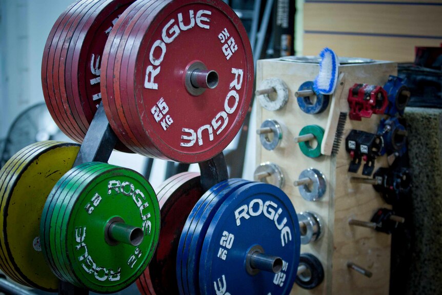 Barbell weights hang on a rack at a powerlifting gym