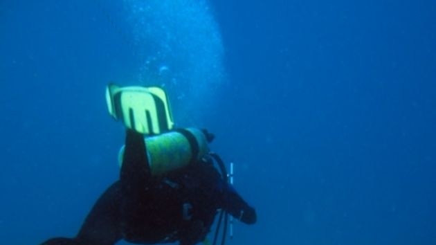 A diver swims above damage to a reef on Douglas Shoal