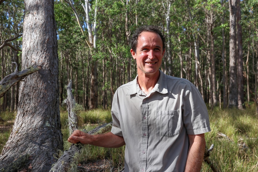 A smiling, dark-haired man stands in a forest clearing dappled by sunlight.