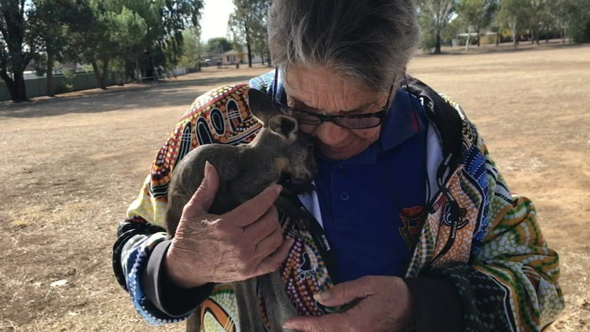 Manilla Central School student support worker, Dian Allen rescued Boomer from the side of the road.