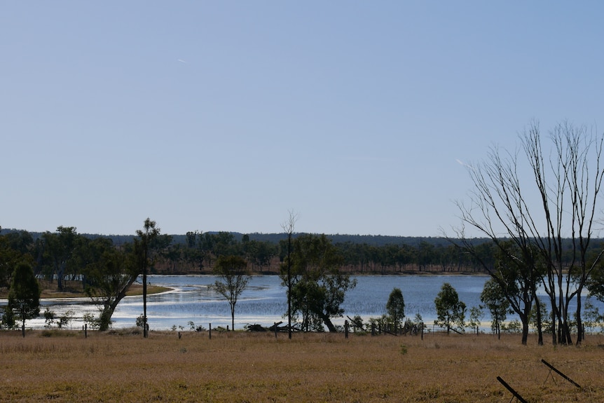 A paddock in front of a body of water.