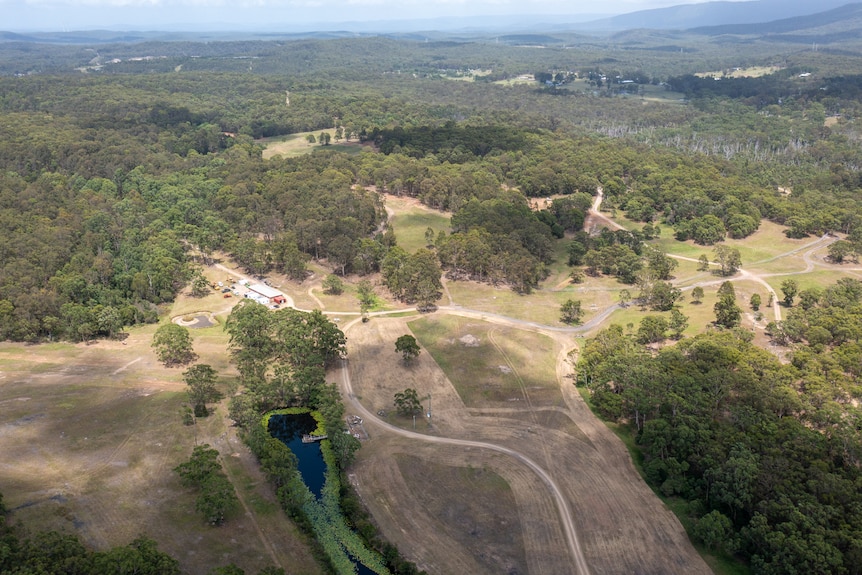 Drone image of cleared land surrounded by forrestry