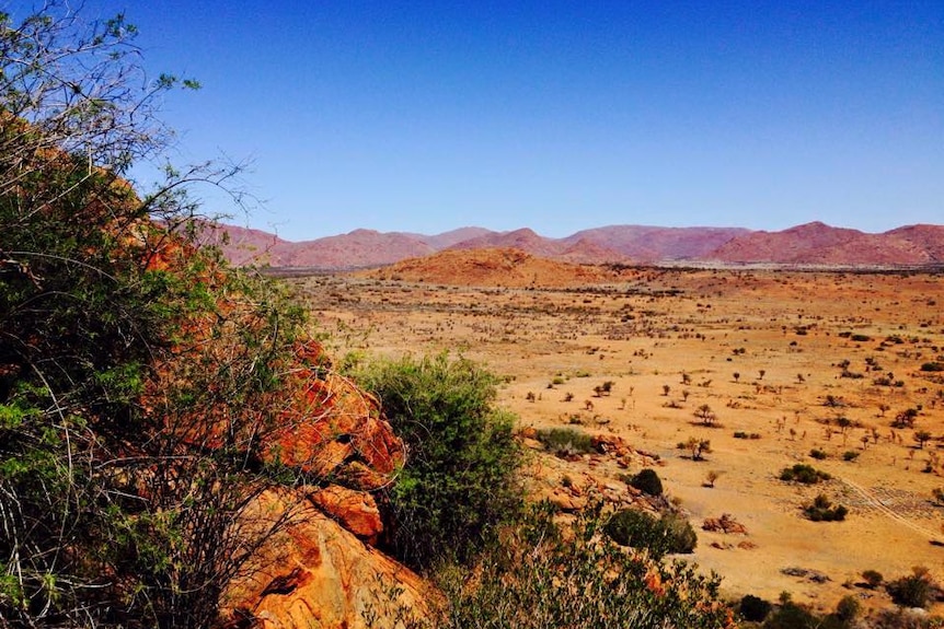 A landscape shot of outback Australia. There is red dust and mountains in the background, A tree is in the foreground.