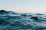A picture of the ocean surface and ripples.