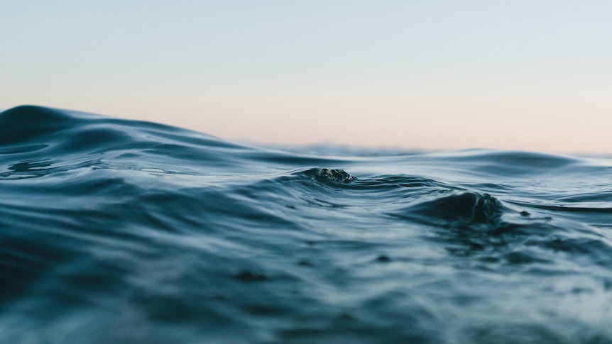 A picture of the ocean surface and ripples.