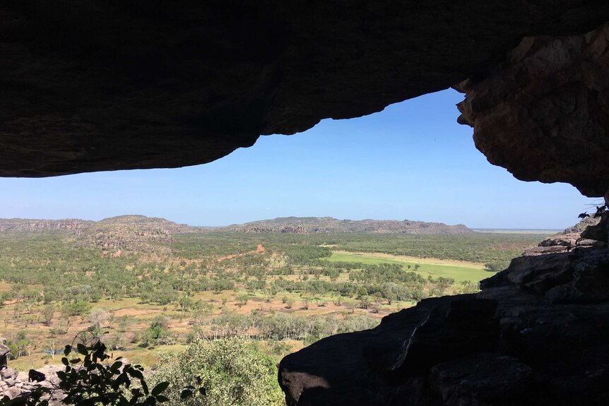 View from inside a cave high up in hills, looking out over Australian bushland
